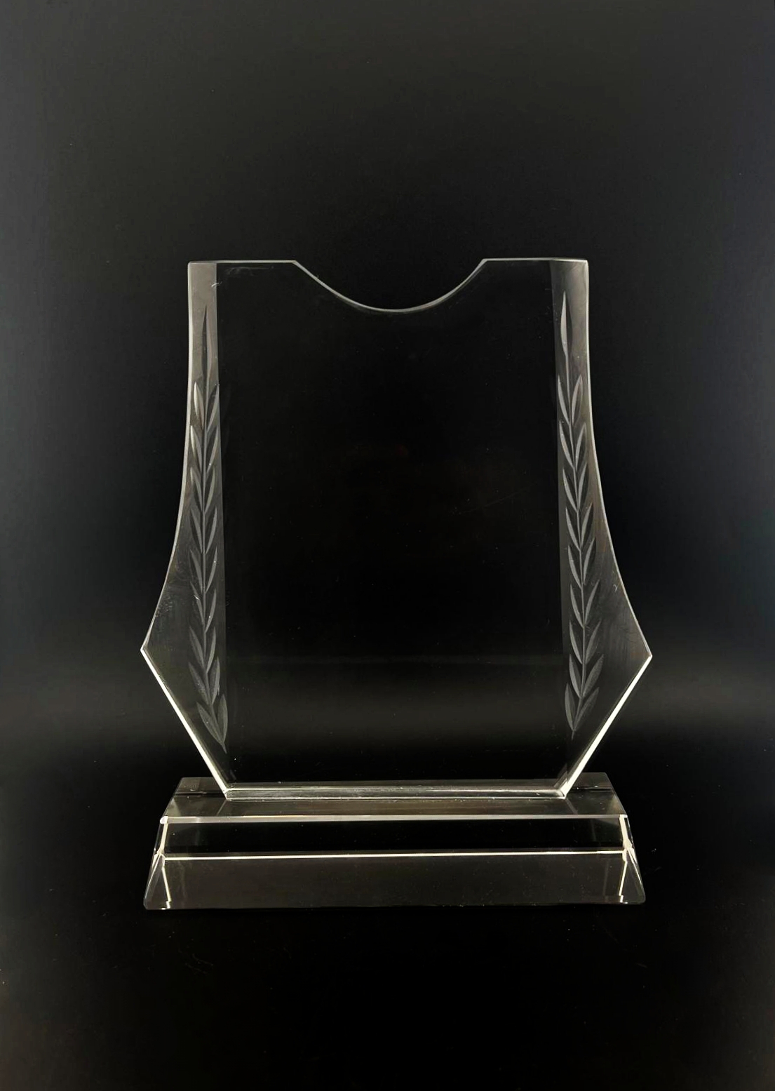 Boxed Trophy PHT-C05