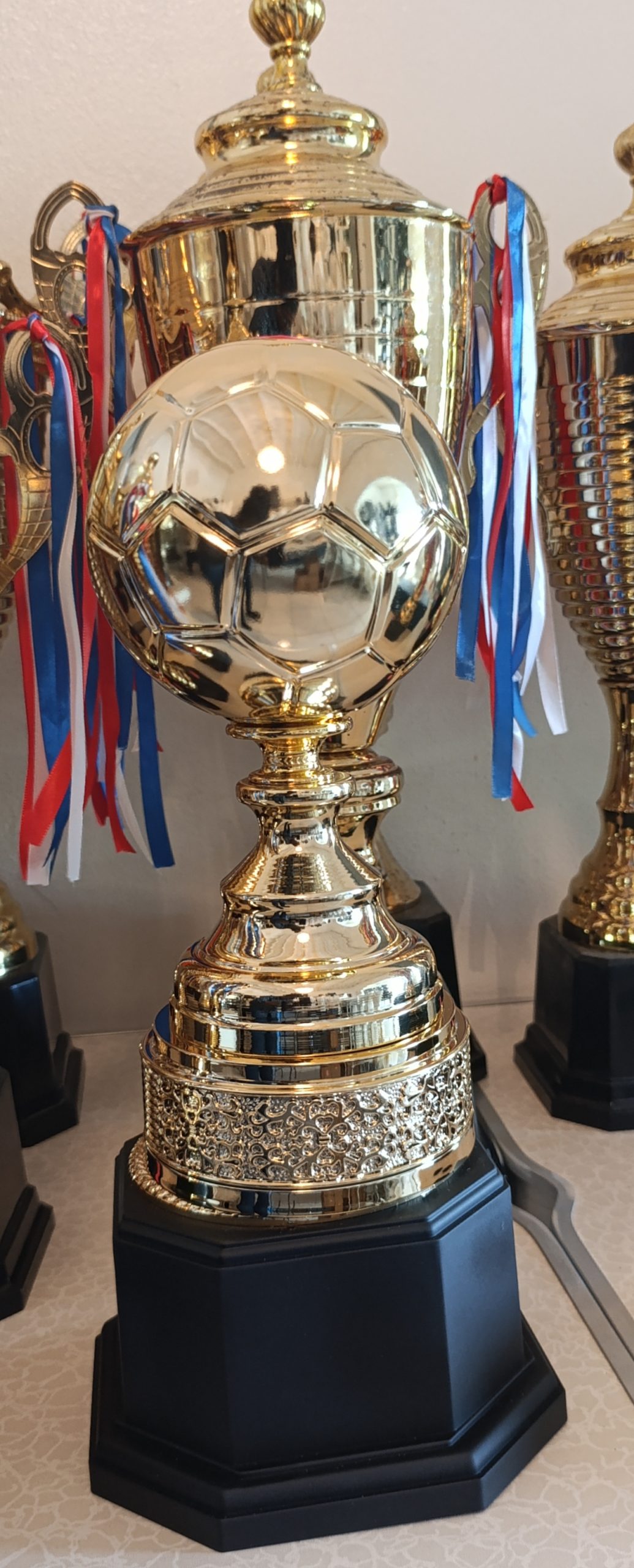 Football Trophy 281