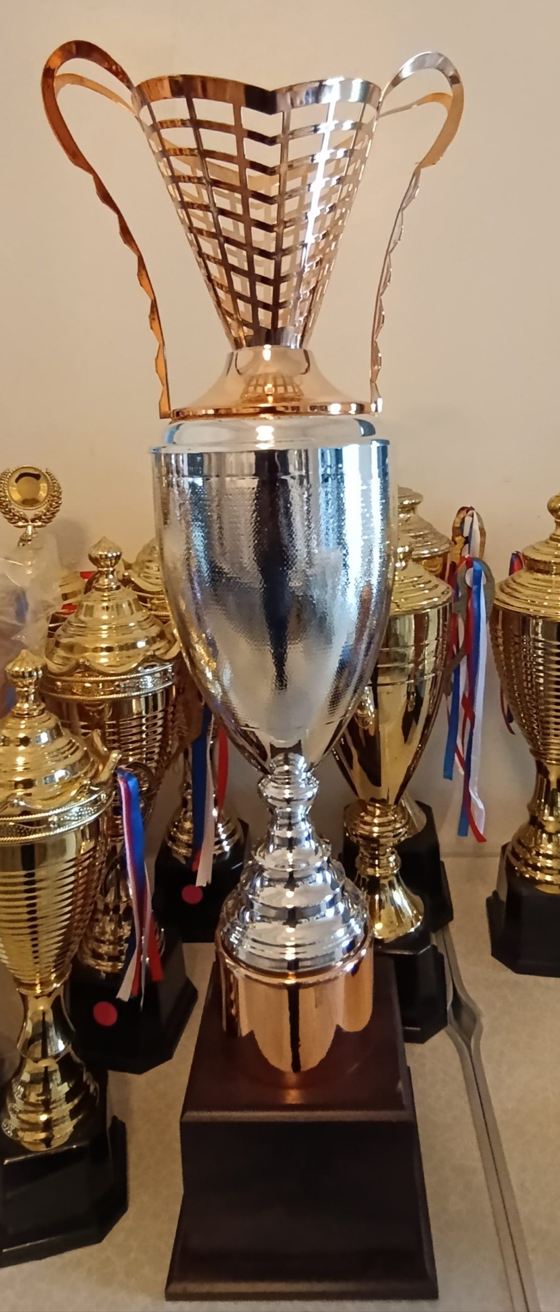 Trophy Bronze 94017-C
