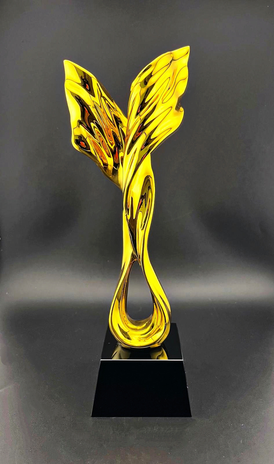 Boxed Trophy PHT-R08