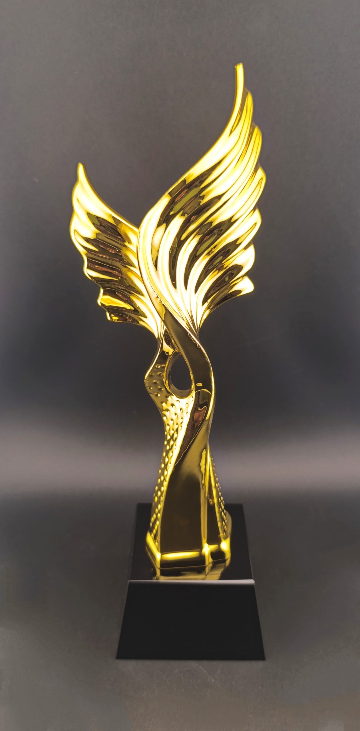 Boxed Trophy PHT-R11
