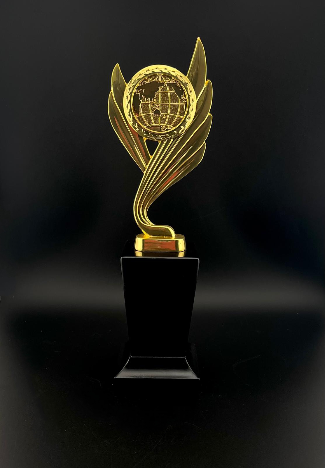 Boxed Trophy WX5008