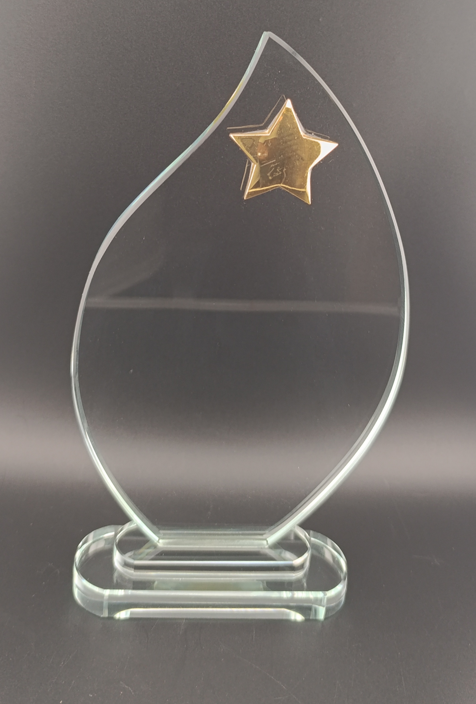 Plaque YLA-126 230mm