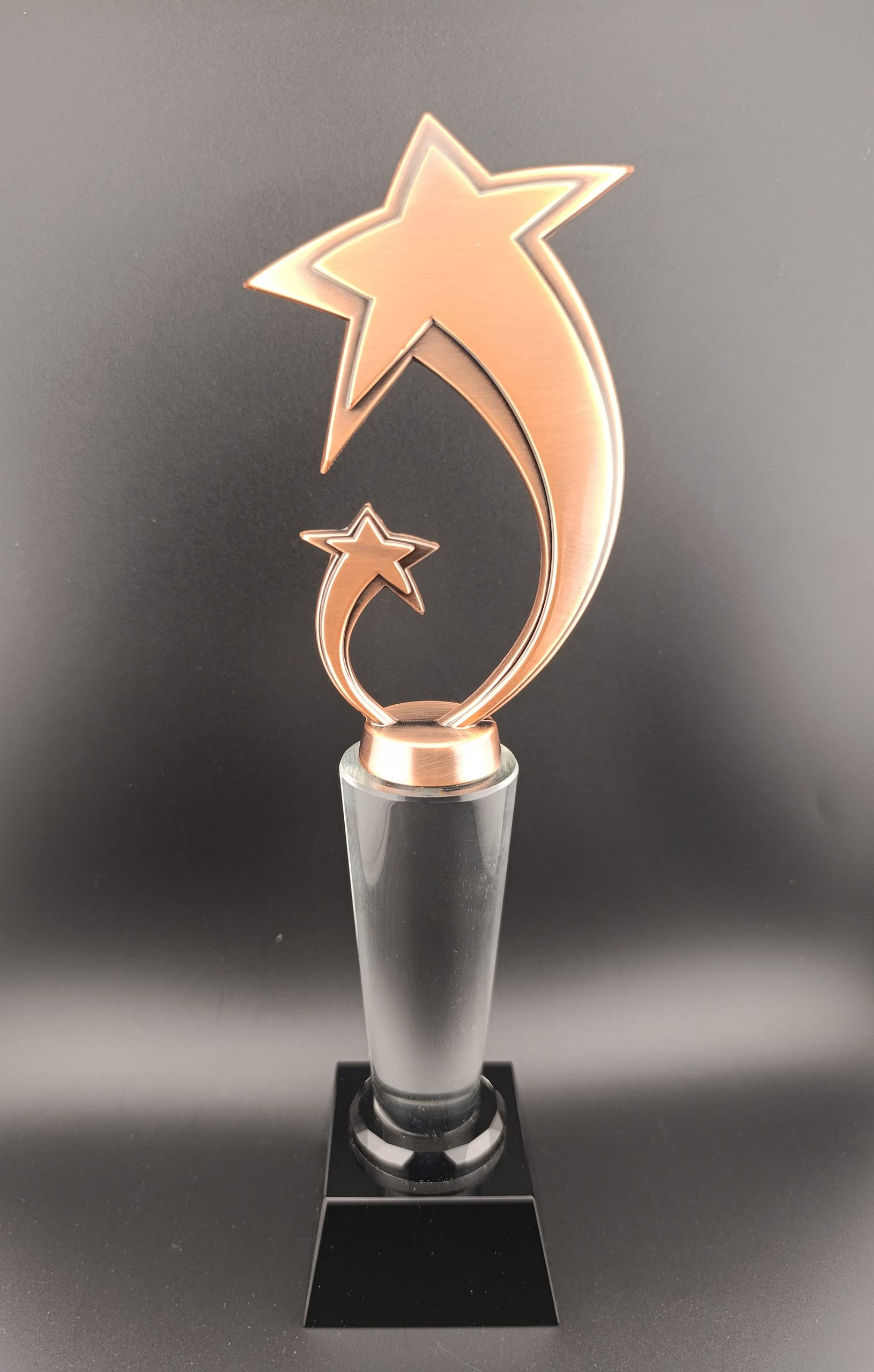 Trophy Bronze YLM-17