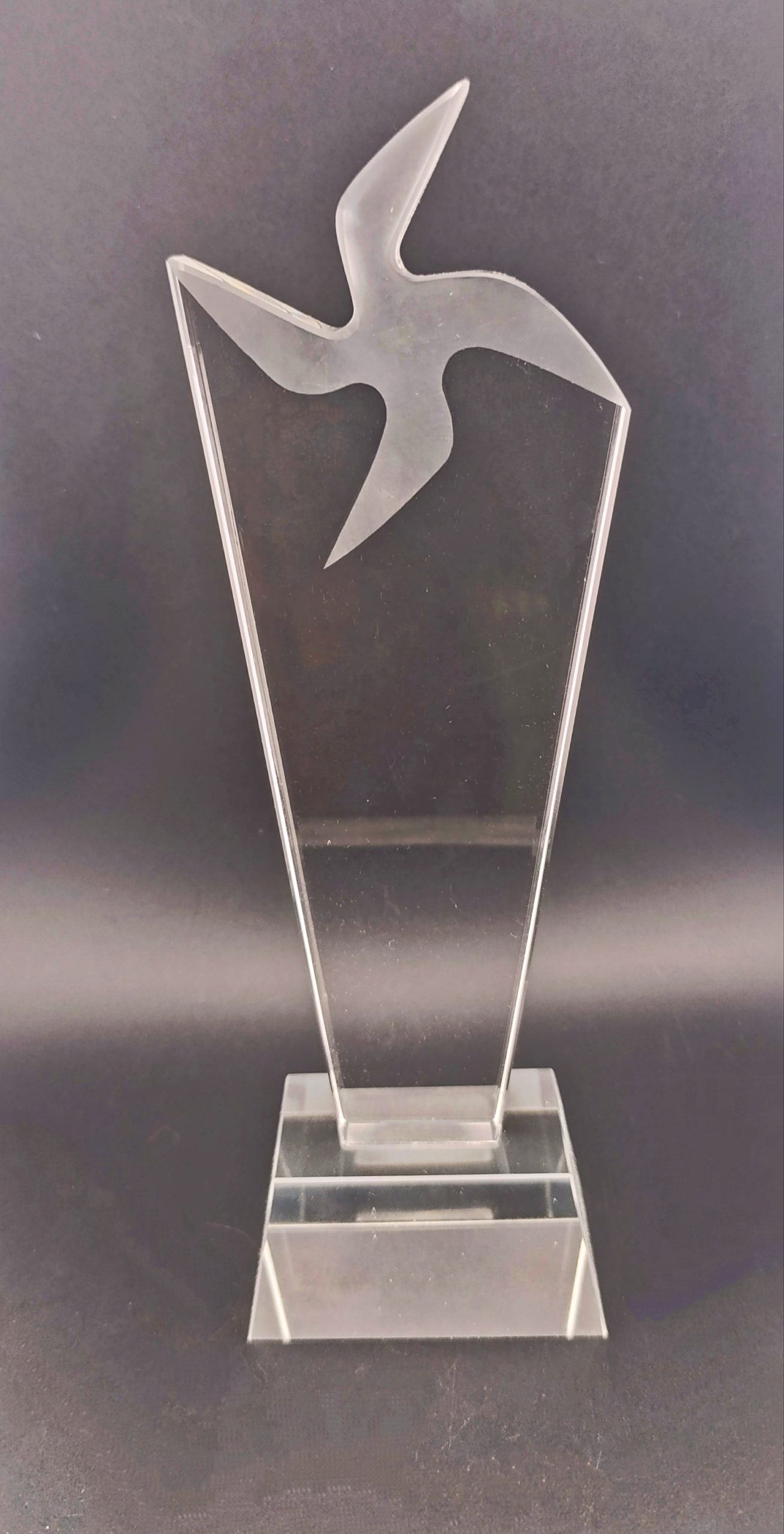 Boxed Crystal Trophy ZX116
